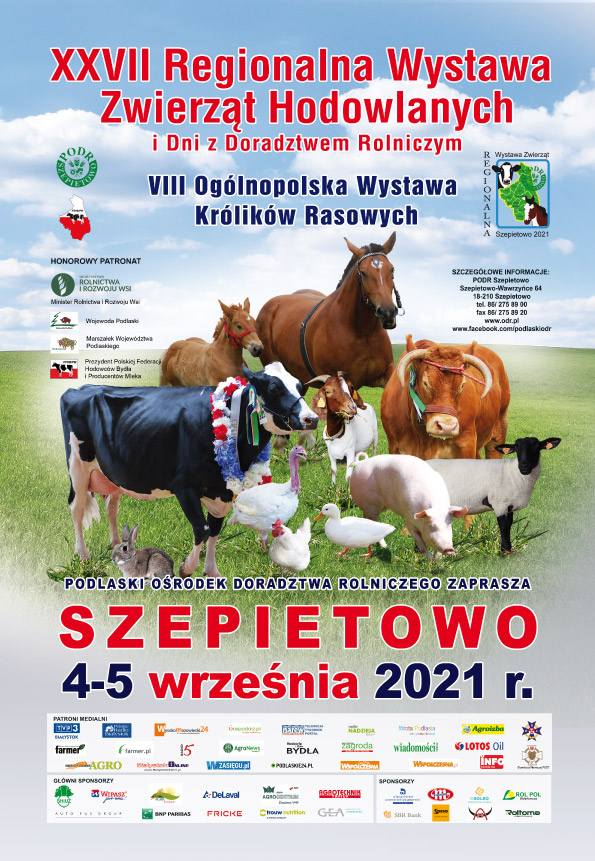 plakat wystawa www 002